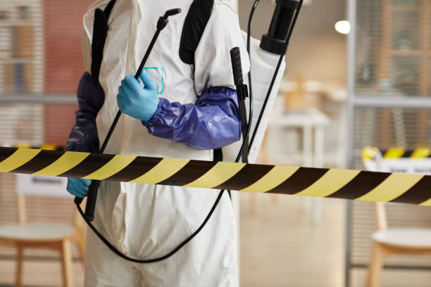 Professional Odor Removal technician working in Fults, IL