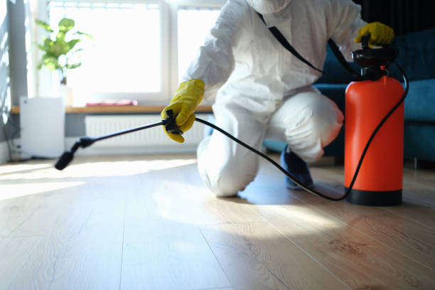 Reliable Odor Removal contractor in Fults, IL by Crime Scene Cleaner Online